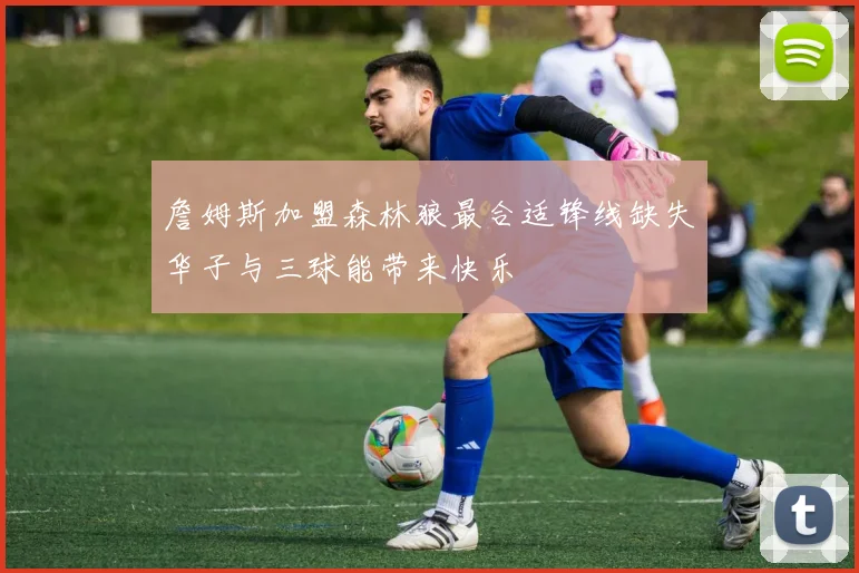 詹姆斯加盟森林狼最合适锋线缺失华子与三球能带来快乐