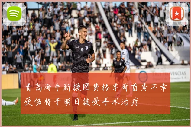 青岛海牛新援图费格季奇首秀不幸受伤将于明日接受手术治疗